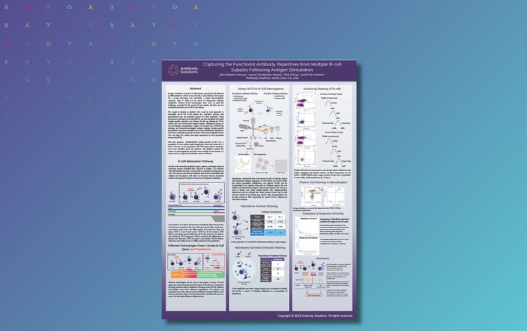 Capturing the Functional Antibody Repertoire from Multiple B-cell Subsets Following Antigen Stimulation