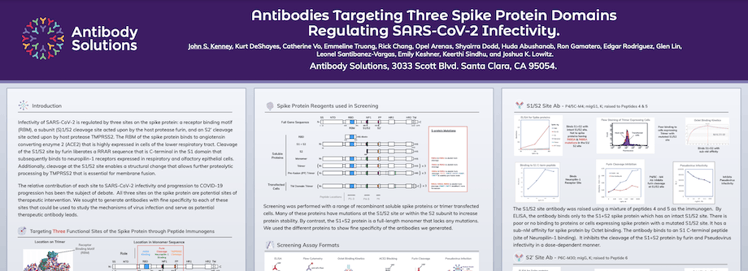 Antibodies Targeting Three Spike Protein Domains Regulating SARS-CoV-2 Infectivity