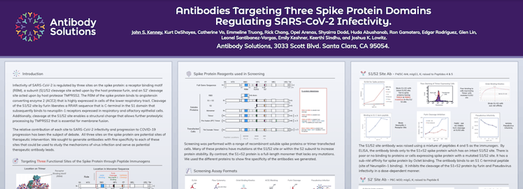 Antibodies Targeting Three Spike Protein Domains Regulating SARS-CoV-2 Infectivity