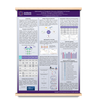 Thumbnail - Optimization of Therapeutic Discovery Strategies for Human Antibody Transgenic Animal Platforms-cropped